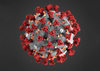 Virus